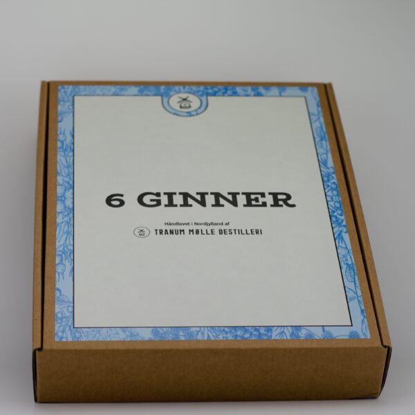 6 Ginner - Image 2